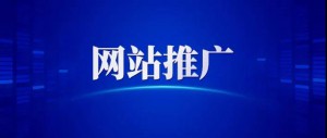 公司為什么要進行網(wǎng)站推廣？
